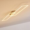 Ceva Plafondlamp LED Zilver, 2-lichts, Afstandsbediening