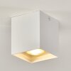 Curacao Plafondlamp Wit, 1-licht