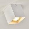 Curacao Plafondlamp Wit, 1-licht