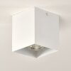 Curacao Plafondlamp Wit, 1-licht