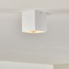 Curacao Plafondlamp Wit, 1-licht