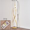 Medle Staande lamp LED Goud, 1-licht