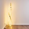 Medle Staande lamp LED Goud, 1-licht