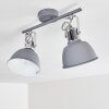 Dompierre Plafondlamp Grijs, Wit, 2-lichts