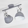 Dompierre Plafondlamp Grijs, Wit, 2-lichts