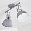 Dompierre Plafondlamp Grijs, Wit, 2-lichts