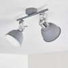 Dompierre Plafondlamp Grijs, Wit, 2-lichts