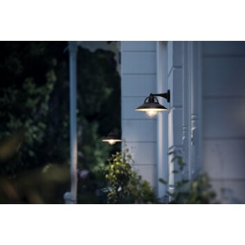 Philips Cormorant Buiten muurverlichting Zwart, 1-licht