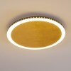 Aitrach Plafondlamp LED Goud, Wit, 1-licht