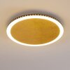 Aitrach Plafondlamp LED Goud, Wit, 1-licht