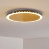 Aitrach Plafondlamp LED Goud, Wit, 1-licht