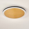 Aitrach Plafondlamp LED Goud, Wit, 1-licht