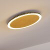 Aitrach Plafondlamp LED Goud, Wit, 1-licht