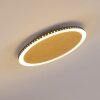 Aitrach Plafondlamp LED Goud, Wit, 1-licht