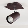 Zuoz Plafondlamp Roest, 1-licht