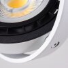 Grytgol Plafondlamp Wit, 1-licht