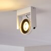 Grytgol Plafondlamp Wit, 1-licht