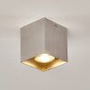 Curacao Plafondlamp Zilver, 1-licht