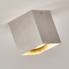 Curacao Plafondlamp Zilver, 1-licht