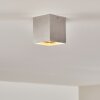 Curacao Plafondlamp Zilver, 1-licht