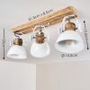 Orny Plafondlamp Wit, 3-lichts