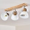 Orny Plafondlamp Wit, 3-lichts