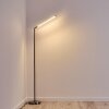 Deje Staande lamp LED Nikkel mat, 1-licht