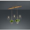 Trio Plant Hanglamp LED Donkerbruin, Nikkel mat, 3-lichts