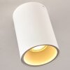 Grenada Plafondlamp Wit, 1-licht