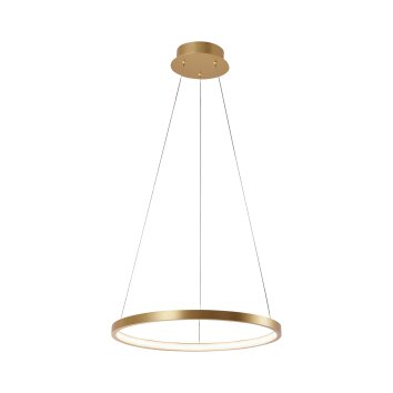 Leuchten-Direkt CIRCLE Hanglamp LED Goud, 1-licht