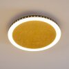 Aitrach Plafondlamp LED Goud, 1-licht