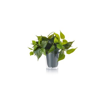 Trio Plant Bloemen LED Groen