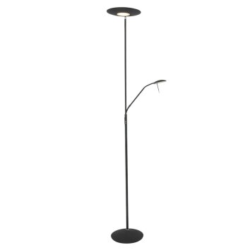 Steinhauer ZENITH Staande lampen LED Zwart, 2-lichts