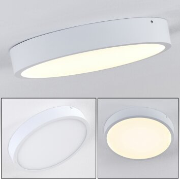 Broglen Plafondlamp LED Wit, 1-licht