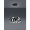 Trio CARRERA Hanglamp LED Zwart, 1-licht