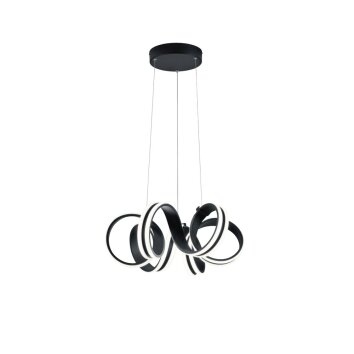 Trio CARRERA Hanglamp LED Zwart, 1-licht