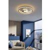 Fischer & Honsel Bug Plafondlamp LED Goud, 1-licht, Afstandsbediening