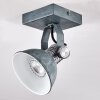 Gudo Plafondlamp Grijs, Zilver, 1-licht