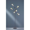 Trio CROSS Staande lamp Zwart, 6-lichts