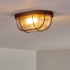 Catawba Plafondlamp Roest, 1-licht