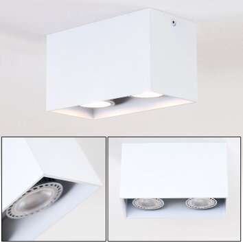 Awuna Plafondlamp Wit, 2-lichts