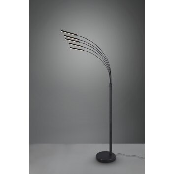 Reality Reed Staande lamp LED Zwart, 5-lichts