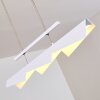 Karungi Hanglamp LED Wit, 1-licht