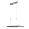 Fischer & Honsel Colmar Hanglamp LED Nikkel mat, 1-licht