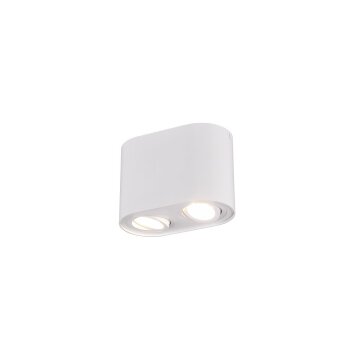 Trio COOKIE Plafondlamp Wit, 2-lichts