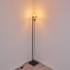 Okudari Staande lamp Goud, Messing, Zwart, 1-licht