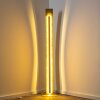 Petrolia Staande lamp LED Goud, 1-licht