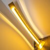 Petrolia Staande lamp LED Goud, 1-licht