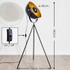 Saturn Staande lamp Zwart, 1-licht