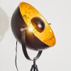 Saturn Staande lamp Zwart, 1-licht